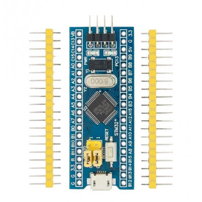 STM32F103C6T6 Blue Pill development kit standing upright with USB connector and pin headers on a clean desk